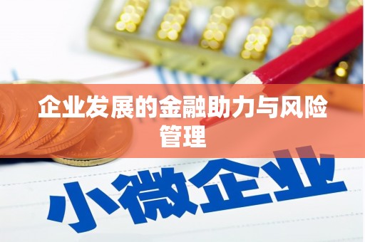 竹崎企业发展的金融助力与风险管理