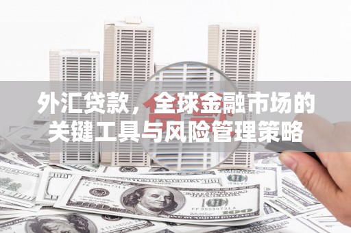 竹崎外汇贷款，全球金融市场的关键工具与风险管理策略