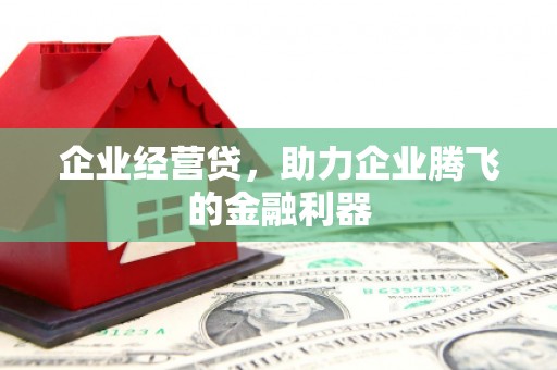 竹崎企业经营贷，助力企业腾飞的金融利器