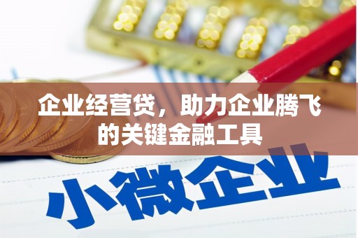 竹崎企业经营贷，助力企业腾飞的关键金融工具