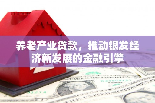竹崎养老产业贷款，推动银发经济新发展的金融引擎