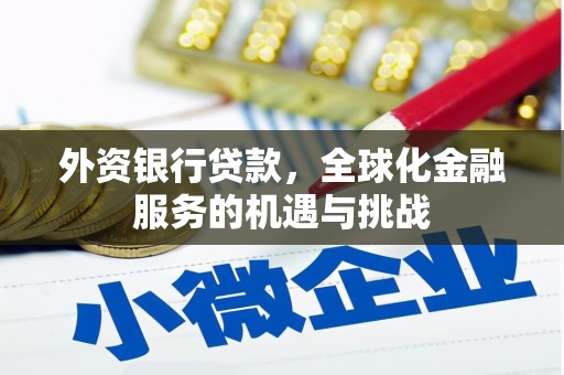 竹崎外资银行贷款，全球化金融服务的机遇与挑战