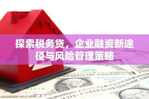 竹崎探索税务贷，企业融资新途径与风险管理策略