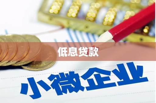 竹崎低息贷款