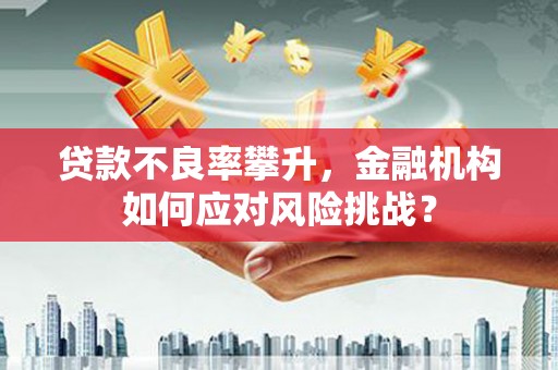 竹崎贷款不良率攀升，金融机构如何应对风险挑战？