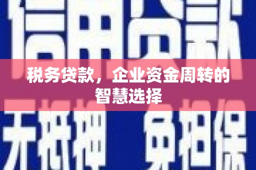 竹崎税务贷款，企业资金周转的智慧选择