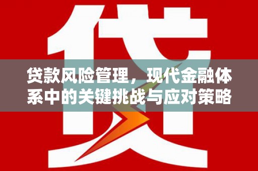 竹崎贷款风险管理，现代金融体系中的关键挑战与应对策略