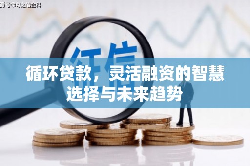 竹崎循环贷款，灵活融资的智慧选择与未来趋势
