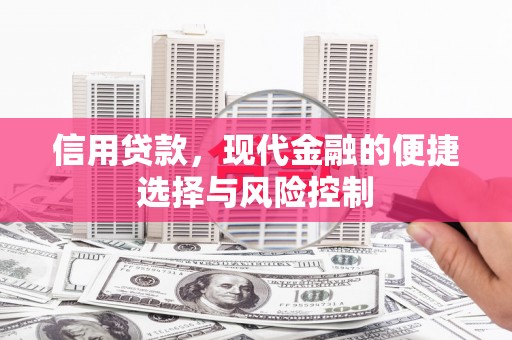 竹崎信用贷款，现代金融的便捷选择与风险控制