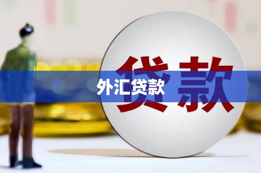 竹崎外汇贷款