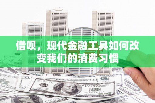 竹崎借呗，现代金融工具如何改变我们的消费习惯
