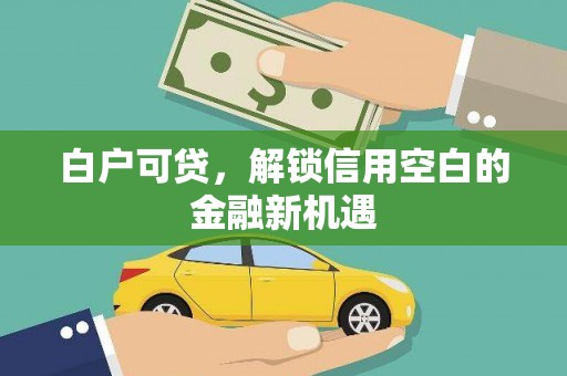竹崎白户可贷，解锁信用空白的金融新机遇