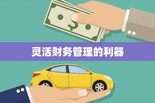 竹崎灵活财务管理的利器