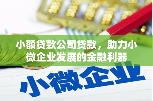 竹崎小额贷款公司贷款，助力小微企业发展的金融利器