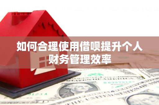 竹崎如何合理使用借呗提升个人财务管理效率