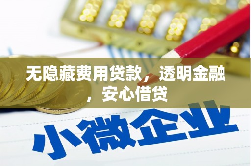 竹崎无隐藏费用贷款，透明金融，安心借贷