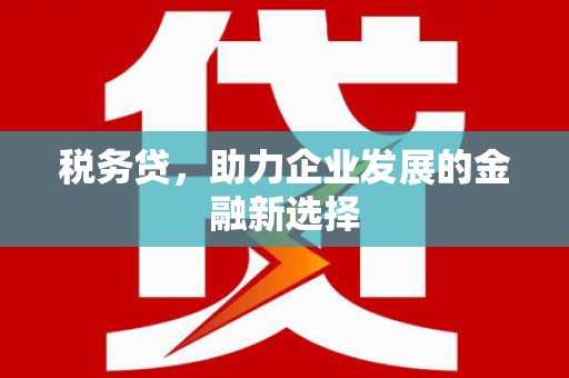 竹崎税务贷，助力企业发展的金融新选择