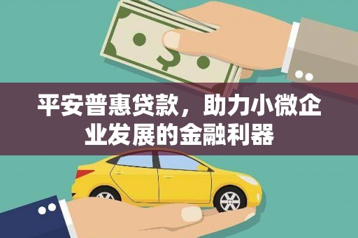 竹崎平安普惠贷款，助力小微企业发展的金融利器