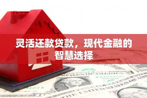 竹崎灵活还款贷款，现代金融的智慧选择