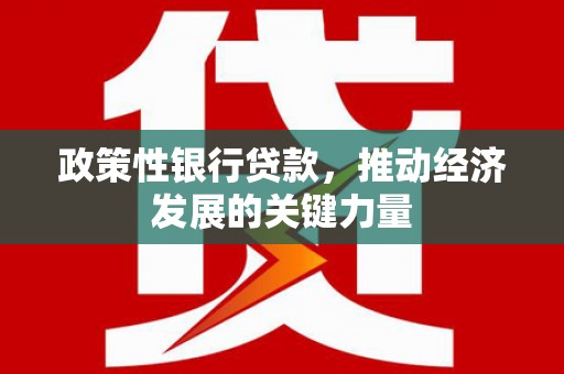 竹崎政策性银行贷款，推动经济发展的关键力量