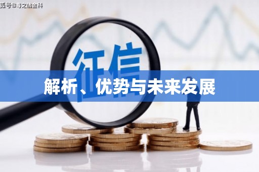 竹崎解析、优势与未来发展
