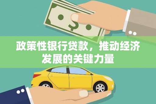 竹崎政策性银行贷款，推动经济发展的关键力量