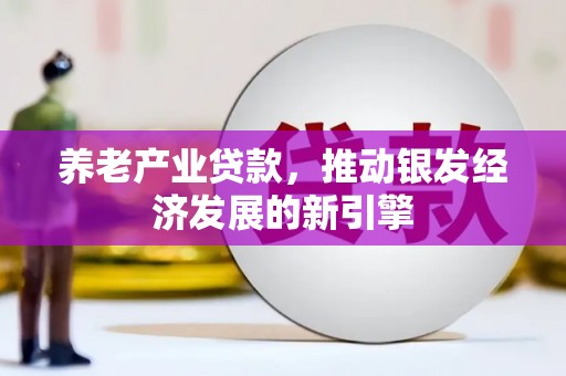 竹崎养老产业贷款，推动银发经济发展的新引擎