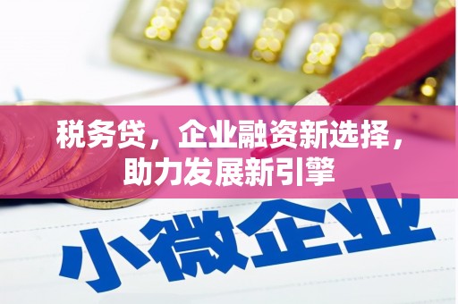 竹崎税务贷，企业融资新选择，助力发展新引擎