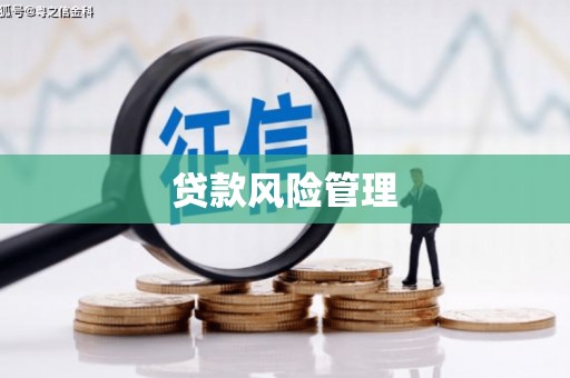 竹崎贷款风险管理