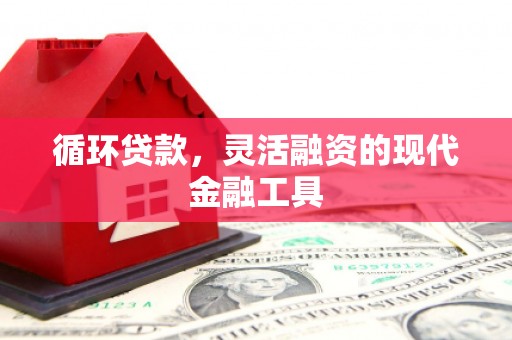 竹崎循环贷款，灵活融资的现代金融工具