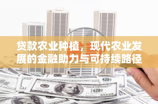 竹崎贷款农业种植，现代农业发展的金融助力与可持续路径
