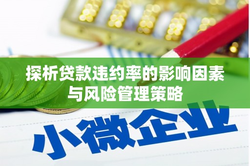 竹崎探析贷款违约率的影响因素与风险管理策略