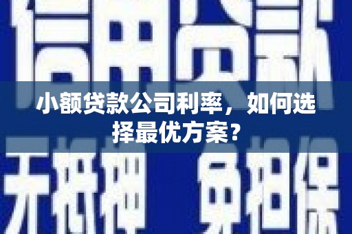 竹崎小额贷款公司利率，如何选择最优方案？