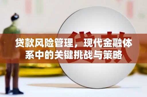 竹崎贷款风险管理，现代金融体系中的关键挑战与策略