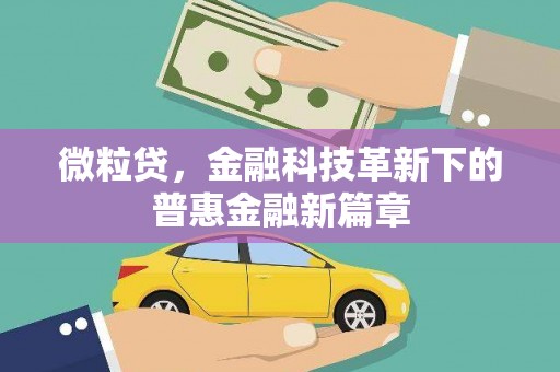 竹崎微粒贷，金融科技革新下的普惠金融新篇章