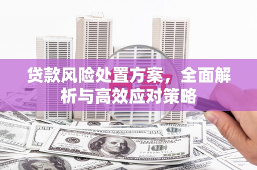 竹崎贷款风险处置方案，全面解析与高效应对策略