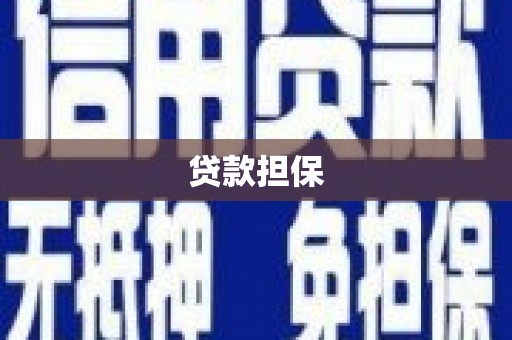竹崎贷款担保