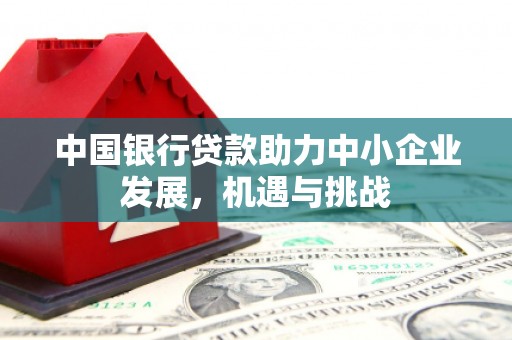竹崎中国银行贷款助力中小企业发展，机遇与挑战