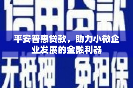 竹崎平安普惠贷款，助力小微企业发展的金融利器