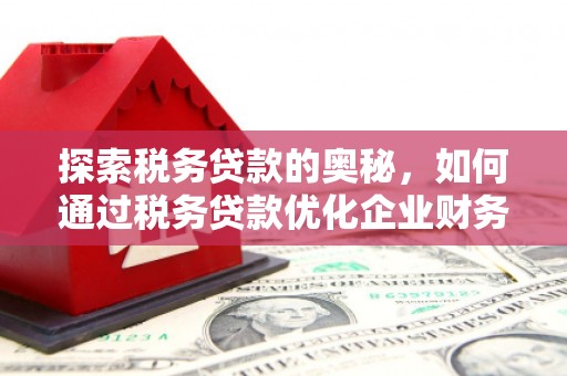 竹崎探索税务贷款的奥秘，如何通过税务贷款优化企业财务