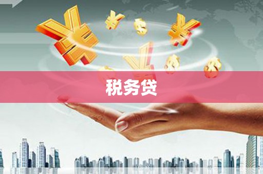 竹崎税务贷