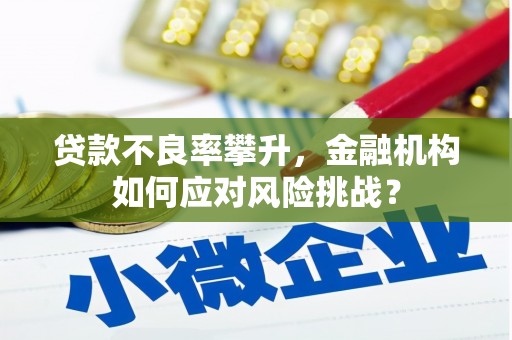竹崎贷款不良率攀升，金融机构如何应对风险挑战？