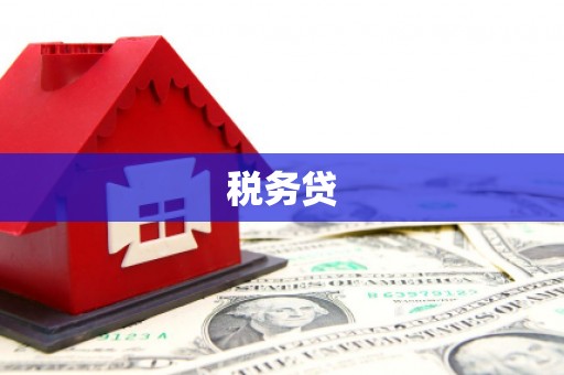 竹崎税务贷