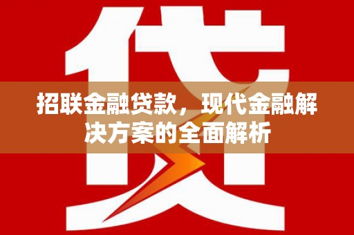 竹崎招联金融贷款，现代金融解决方案的全面解析