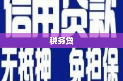 竹崎税务贷