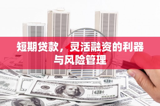 竹崎短期贷款，灵活融资的利器与风险管理