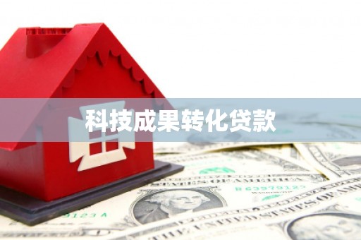 竹崎科技成果转化贷款