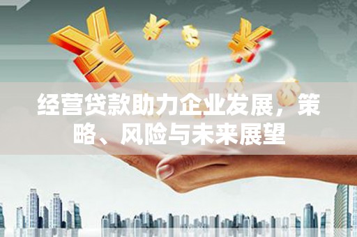 竹崎经营贷款助力企业发展，策略、风险与未来展望