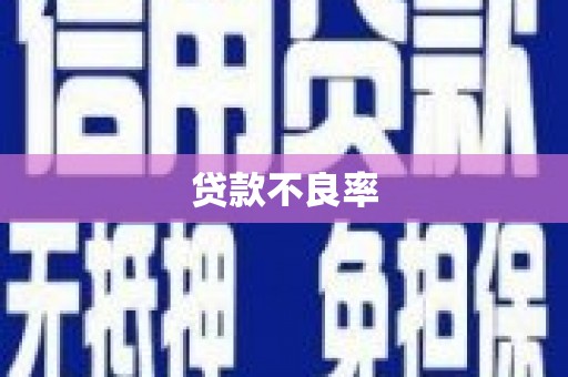 竹崎贷款不良率