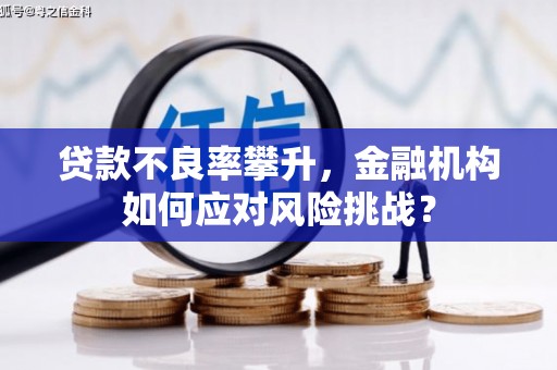 竹崎贷款不良率攀升，金融机构如何应对风险挑战？
